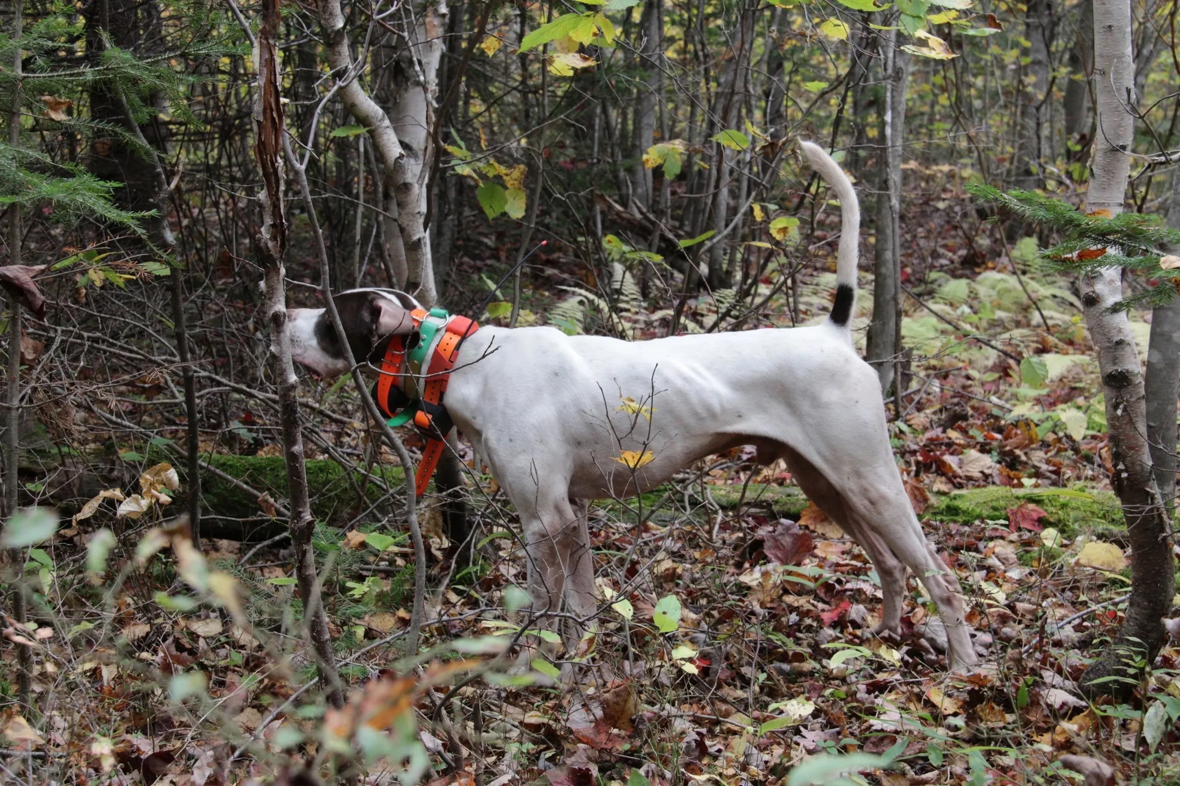 Fishing adventure in New Brunswick