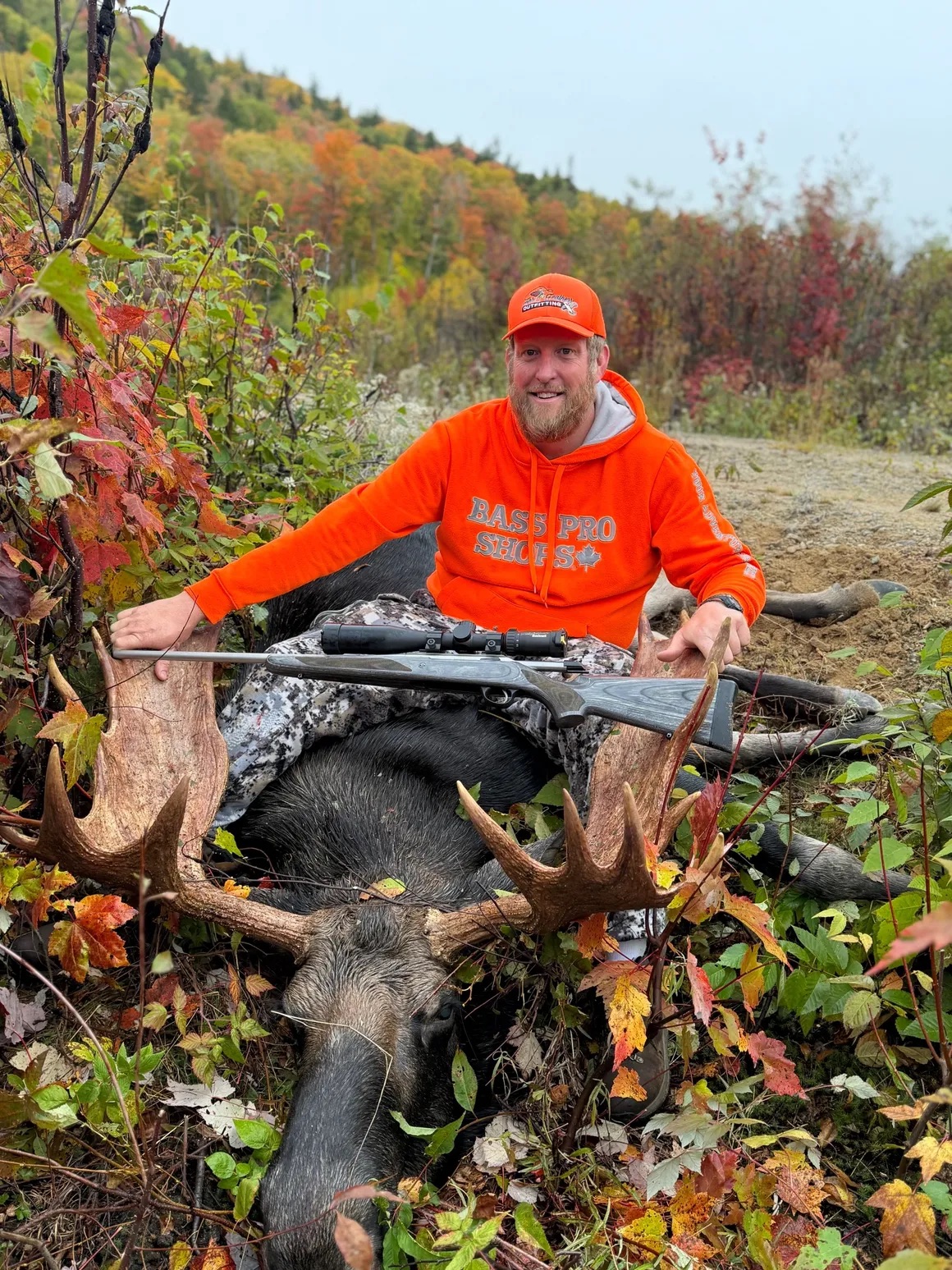 New Brunswick wilderness