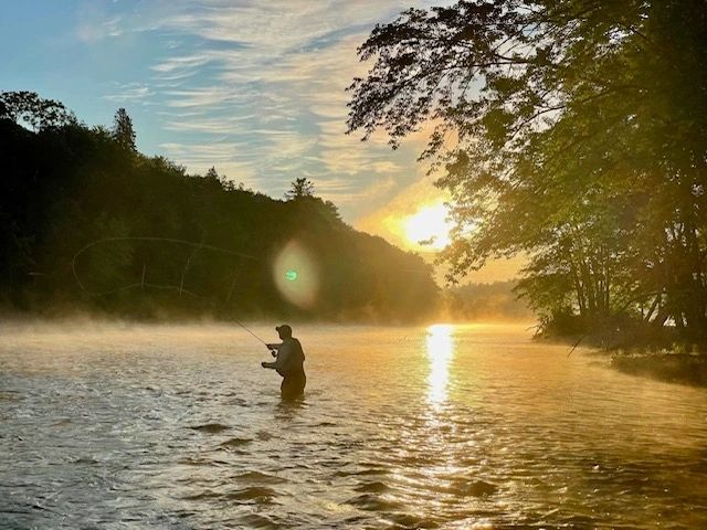 Fins & Feathers team