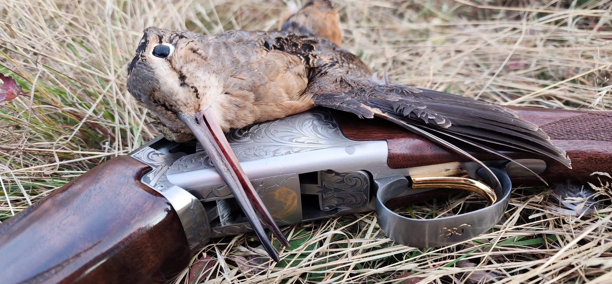 Fins & Feathers team in action