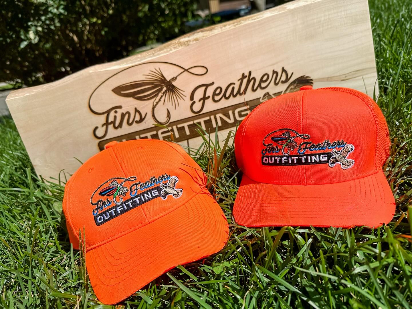 Fins & Feathers team